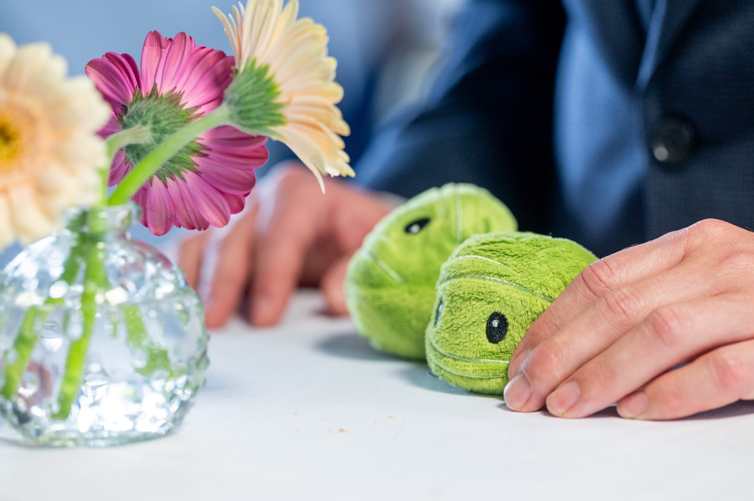 IMG_evosoft_Solution_Day_22